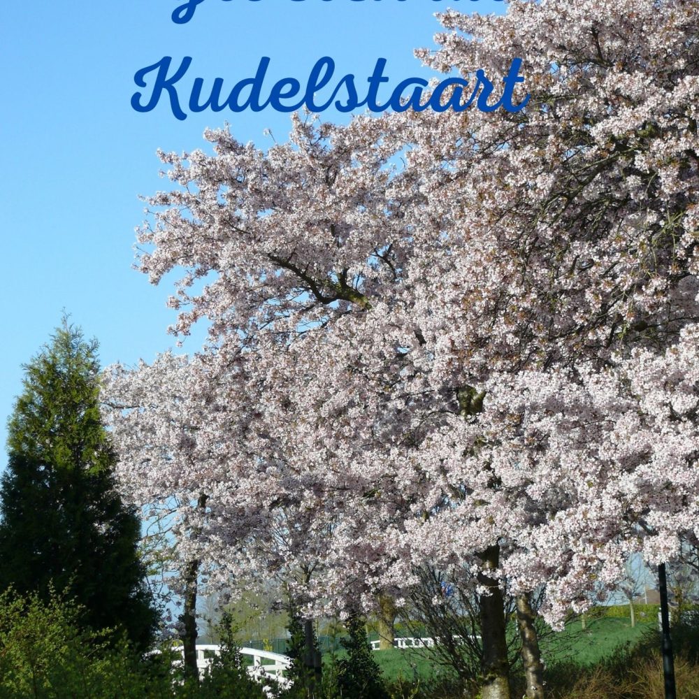 Groeten uit Kudelstaart bloesembomen